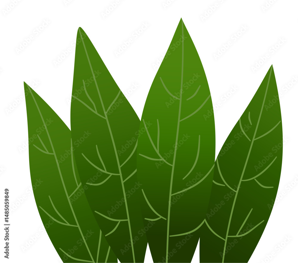green leaf vector green leaf vector