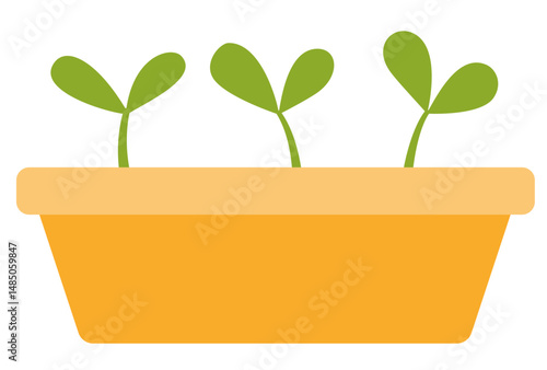 plant in a pot