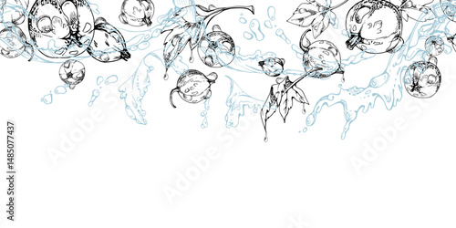 Currant gooseberry flying in water splash with dew drops and green leaves, hand drawn in vector ink, ripe summer garden berry. Isolated seamless banner for home preserves, eco stationery, recipe book