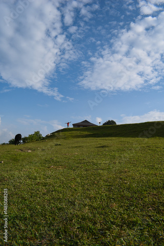 A vibrant grassy hill under a bright blue sky, featuring a hut, person and grazing animal