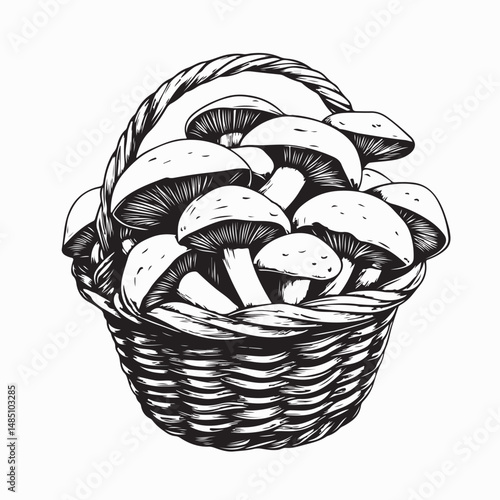 Natural Woven Basket With Forest Mushrooms Picked During A Calm Morning Mushroom Hunt