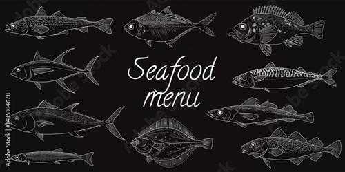 Fish line sketch on chalkboard set. Outline of plaice, salmon and herring. Seafood menu for cooking, ocean cuisine, restaurant drawing decoration. Vector banner for market hand drawn isolated elements