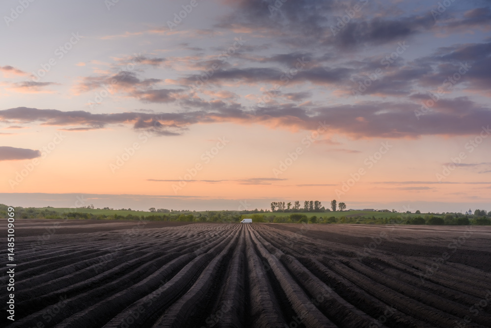 Obraz premium Agricultural field with plowed rows for spring potatoes glowing under warm sunset light. Rural farmland captured at golden hour during early crop preparation
