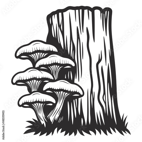 Monochrome vintage line art honey fungus cluster growing on tree stump, showing detailed caps and stems, suitable for culinary, pharmaceutical, and natural product related graphic applications.