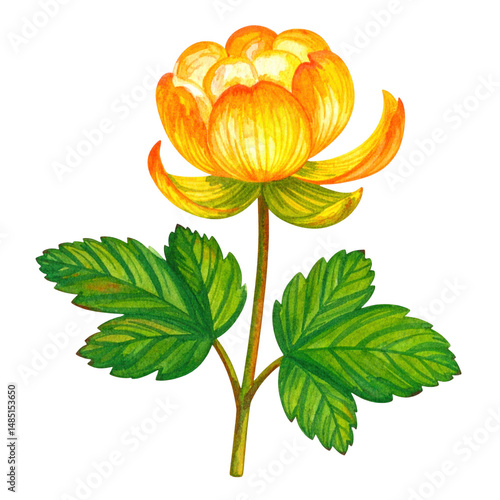 Vibrant Yellow Flower with Lush Green Leaves Delicately Rendered in Watercolor Style Suitable for Botanical Illustrations and Nature Themes