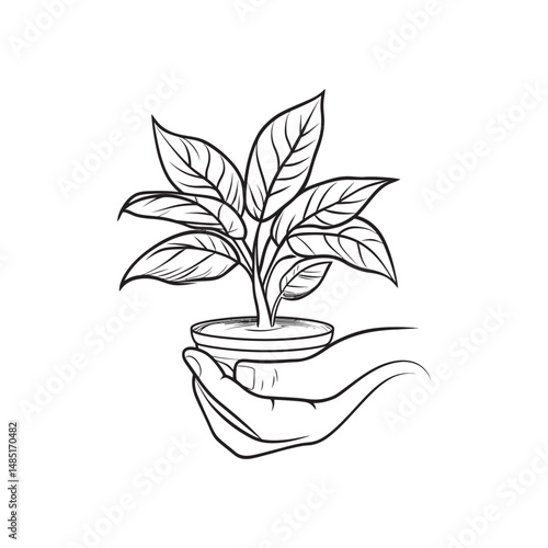Hand gently supports potted plant, line art showcases delicate greenery and care through transparent background