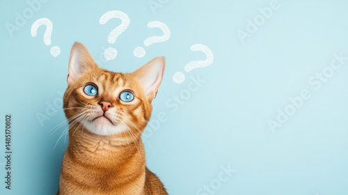 Curious ginger cat with question marks on blue background confusion and FAQ concept