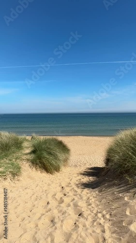 Wallpaper Mural Beach Walk Torontodigital.ca