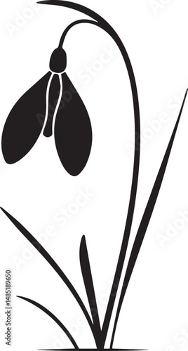 Delicate Snowdrop Flower Black Silhouette Vector, Elegant Botanical Clipart & Winter Floral Design