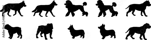 Wallpaper Mural Silhouettes of Ten Distinct Dog Breeds Arranged in Two Rows Torontodigital.ca