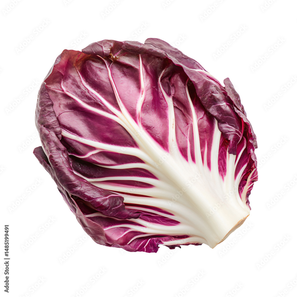 Fototapeta premium a close up of a red cabbage on a white background