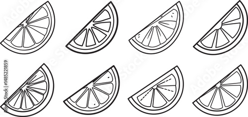 set of quarter slice citrus fruit line art, black outline, vector and illustration, coloring book page line art drawing