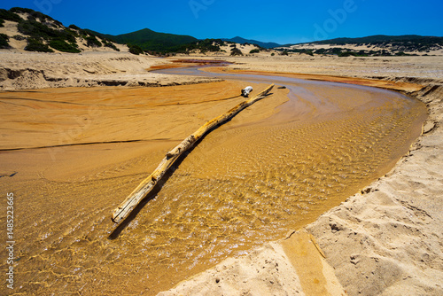 The heavily polluted Irvi River, which carries highly toxic heavy metals from the abandoned Montevecchio mine to the Spiaggia di Piscinas beach, Sardinia, Italy