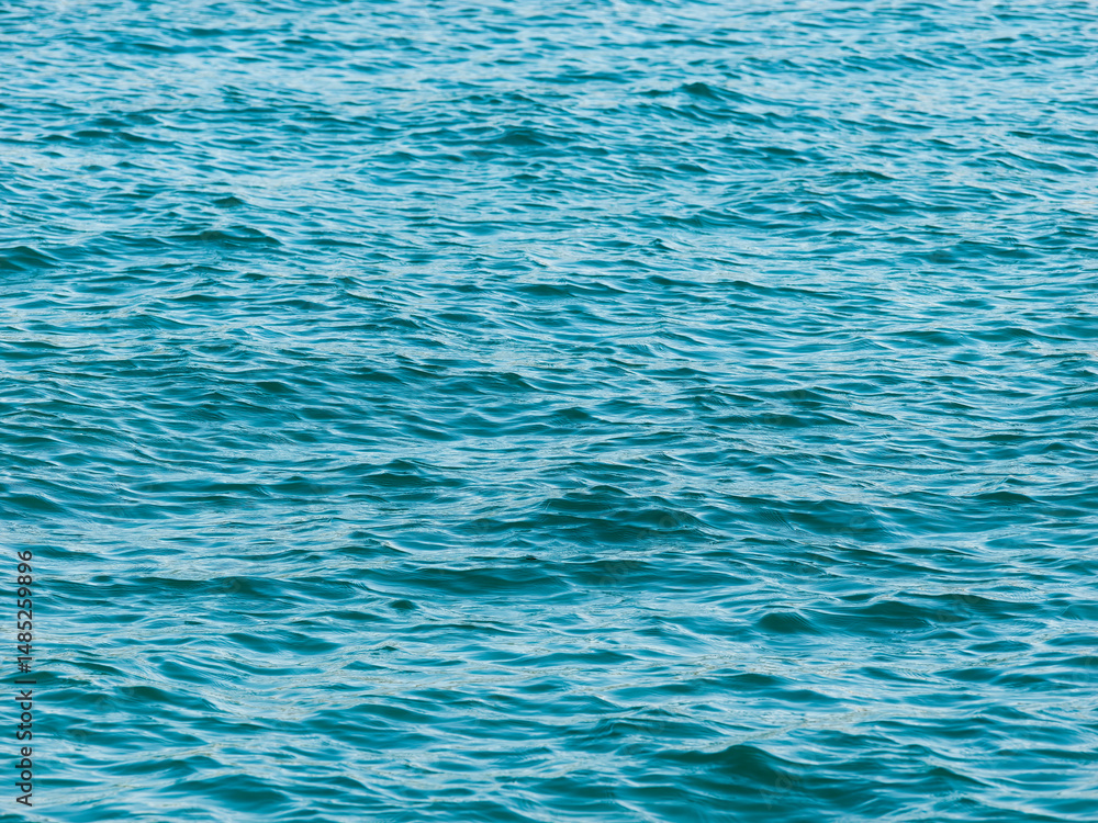 Obraz premium Ocean Blues 