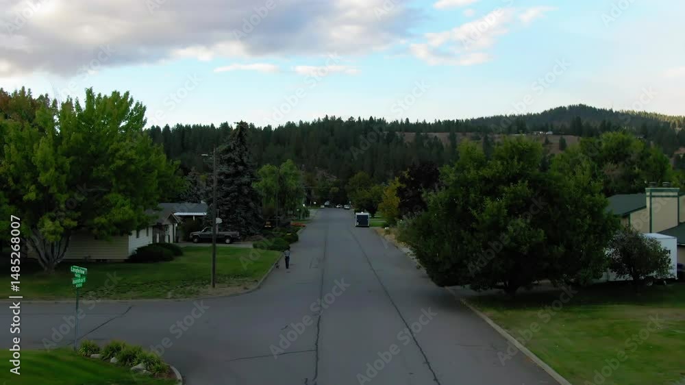 custom made wallpaper toronto digitalAerial Upward Scenic View Of Houses Amidst Green Trees In Residential Town By Hills - Post Falls, Idaho