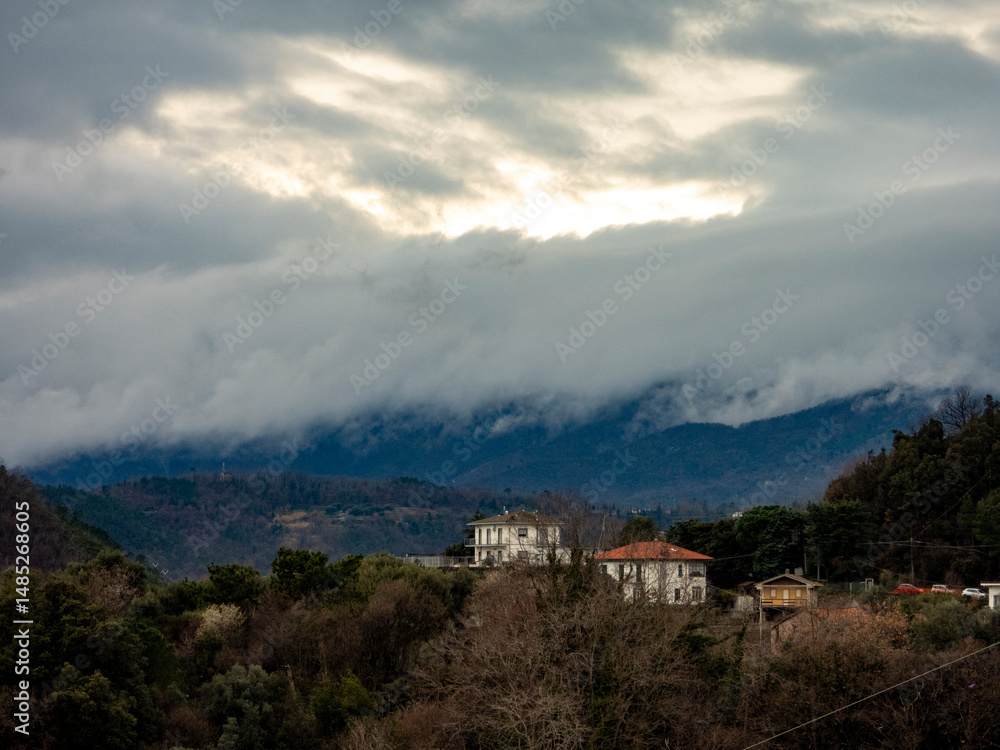Fototapeta premium Fiori di Liguria
