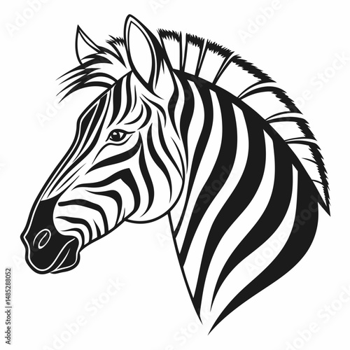 zebra vector illustration