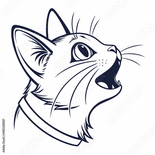 vector illustration of a cat