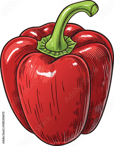 Realistic Red Bell Pepper – Fresh Vegetable Vector Illustration