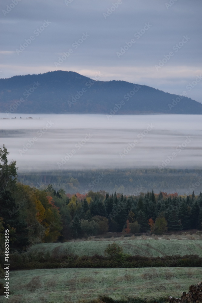 Fototapeta premium A fog on an autumn morning, Sainte-Apolline, Québec, Canada