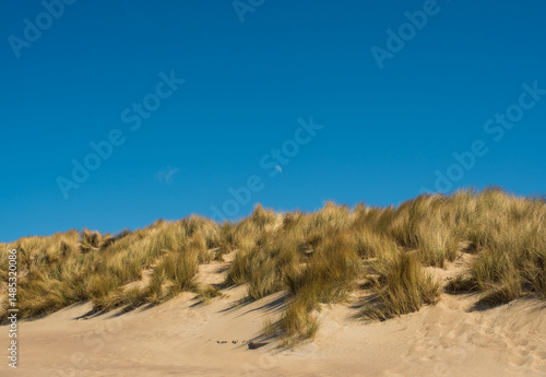 Grassy dunes with view of the blue sea