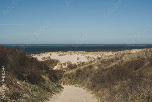 Grassy dunes with view of the blue sea