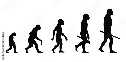 Evolution of human silhouettes vector. Evolution Silhouettes. silhouette of a girl