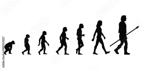 Evolution Silhouettes. silhouettes of people