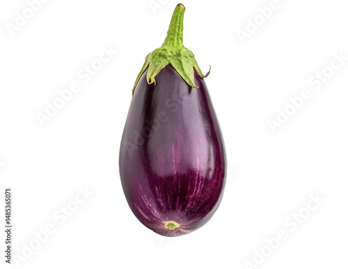 eggplants isolated on transparency or jpeg background