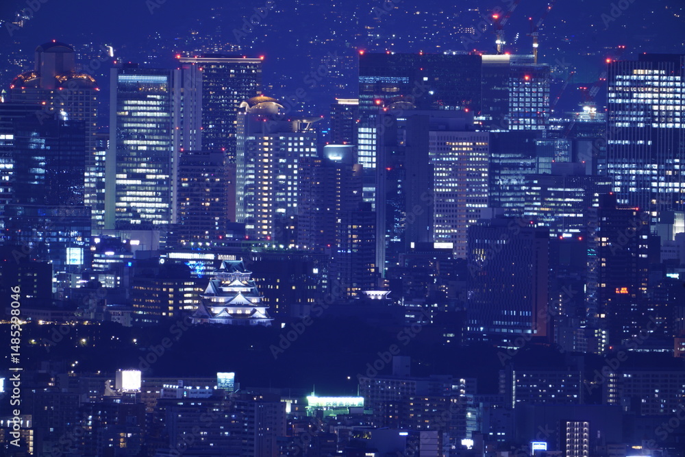 Fototapeta premium 大阪平野夜景