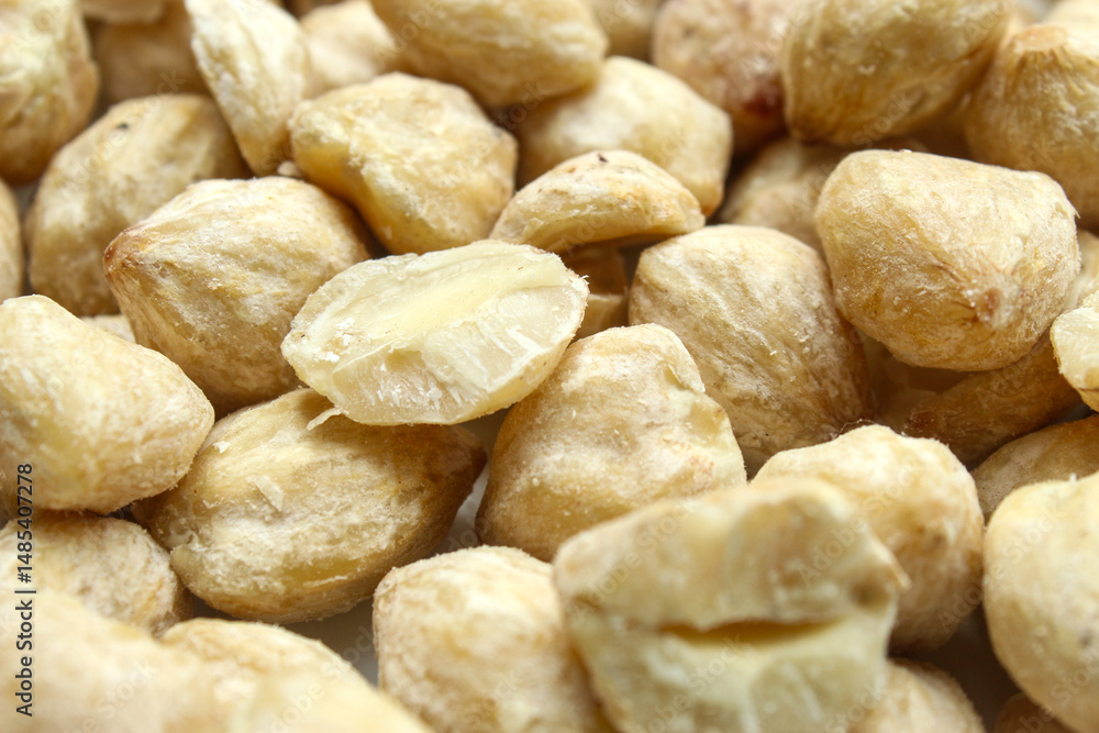 Fototapeta premium Texture and background of Candlenut (Aleurites moluccana) close up