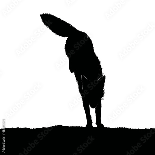 Solid black silhouette of a fox sneaking