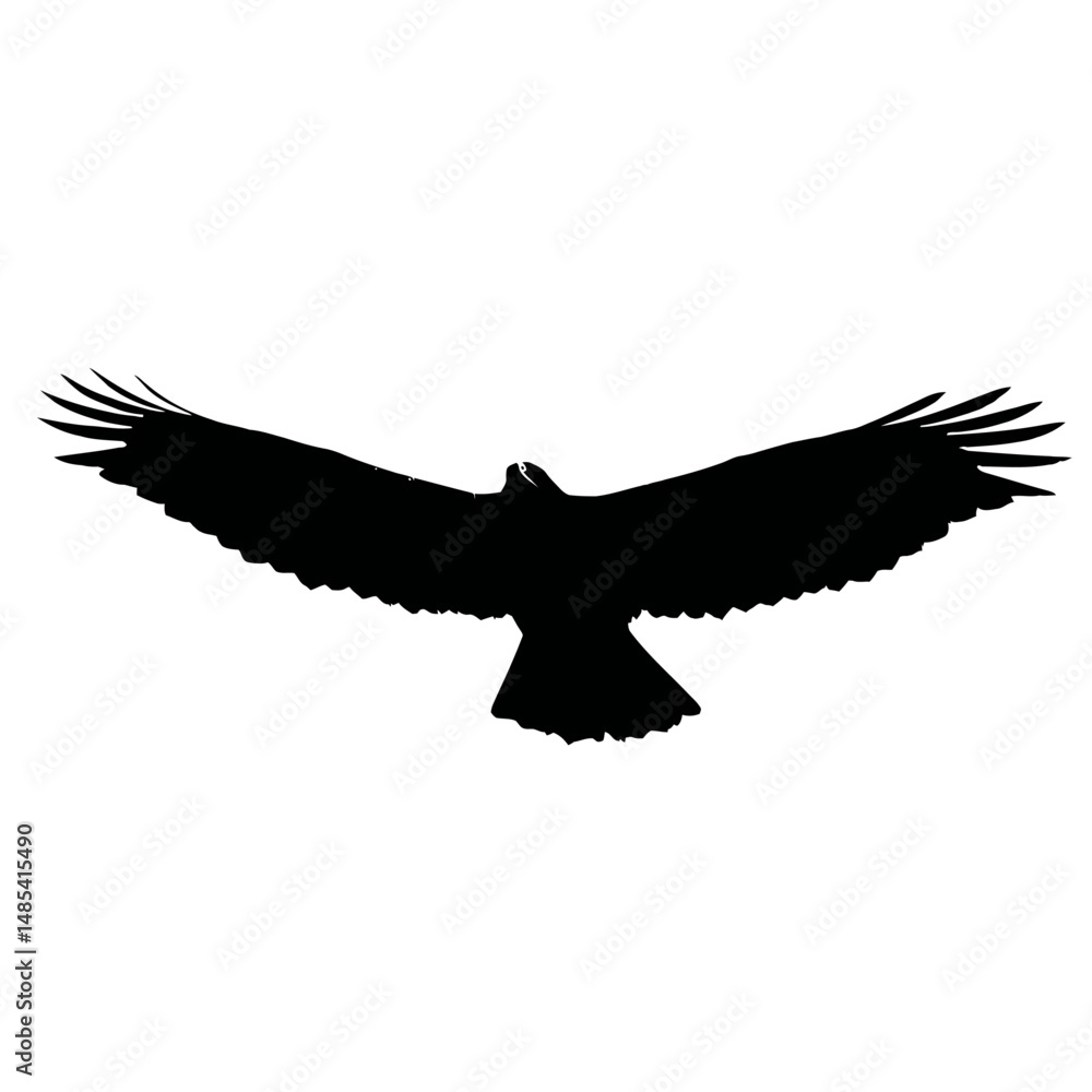 Fototapeta premium Solid black silhouette of a hawk soaring