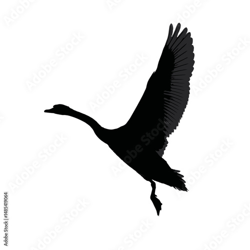 Solid black silhouette of a swan gliding