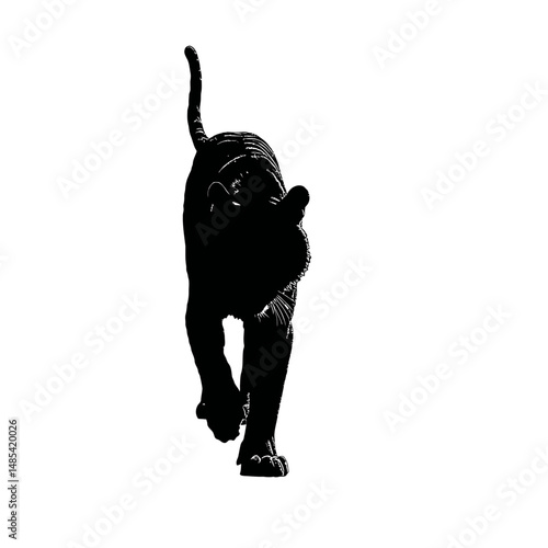 Solid black silhouette of a tiger stalking