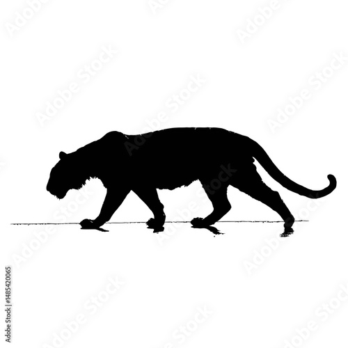 Solid black silhouette of a tiger stalking