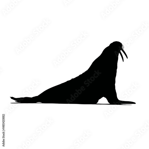 Solid black silhouette of a walrus resting