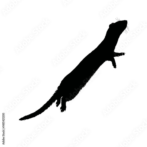 Solid black silhouette of a weasel hunting