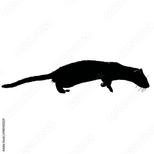 Solid black silhouette of a weasel hunting