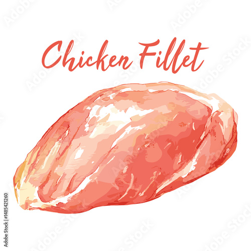 raw chicken fillet in watercolor illustration style, isolated vector on white background