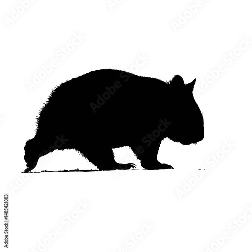 Solid black silhouette of a wombat walking