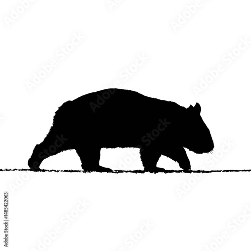 Solid black silhouette of a wombat walking