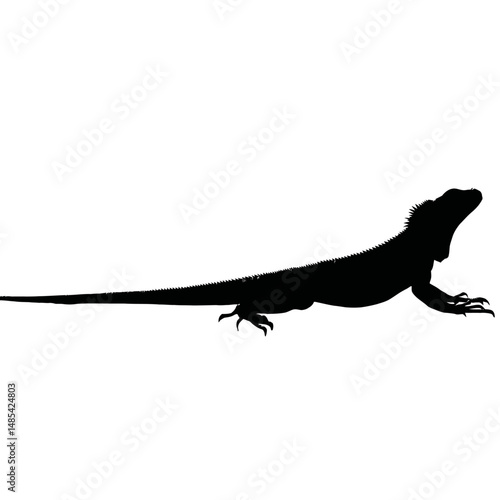 Solid black silhouette of an iguana resting