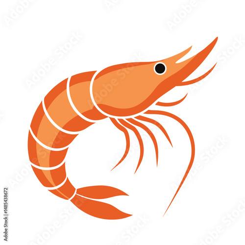 shrimp fish vector