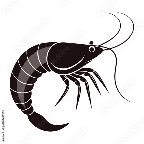 shrimp fish vector