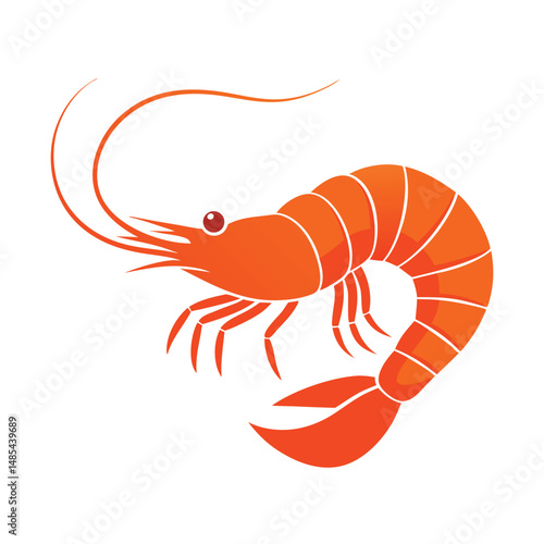shrimp fish vector