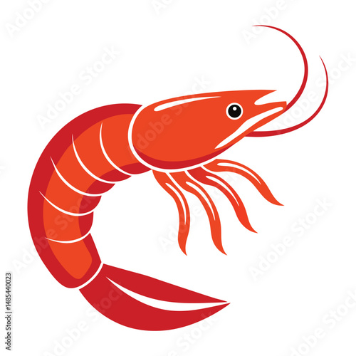 shrimp fish vector