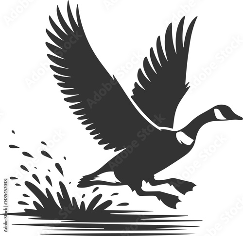 A drawing vector silhouette of a goose bird