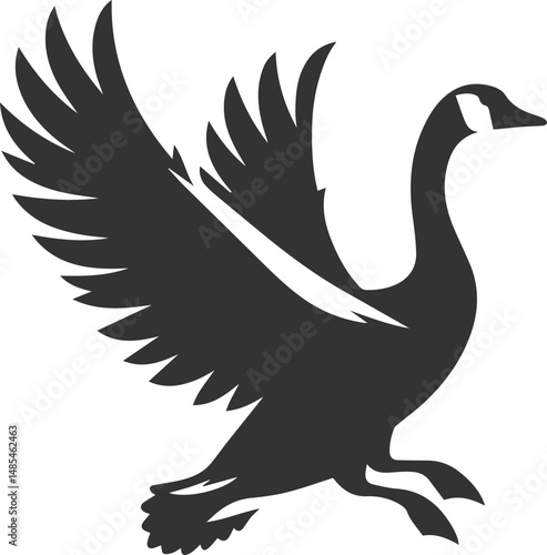 A drawing vector silhouette of a goose bird