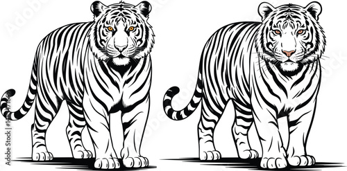 Wallpaper Mural Roaring Tiger Vector Illustration – Bold Wildlife Animal Art for Tattoos & Logos,Tiger vector with white background Torontodigital.ca
